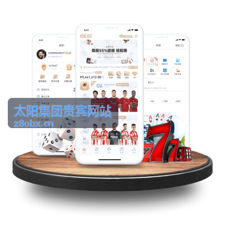 太阳集团贵宾网站专属客服界面